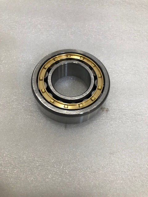 TMG-PC330K-24-12 Bearing NJ2206